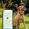 Tractive GPS Dog Bild 3